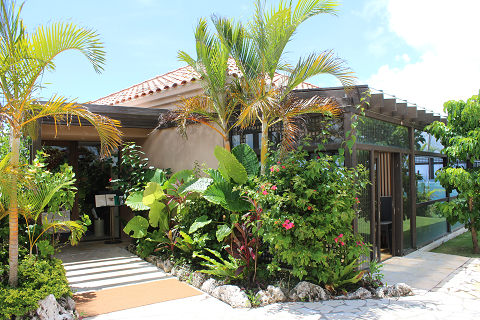 スターダストガーデン