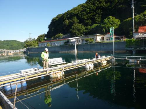 西遊漁センター