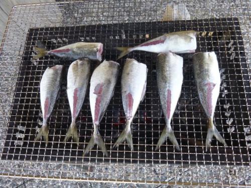 アジの塩焼き