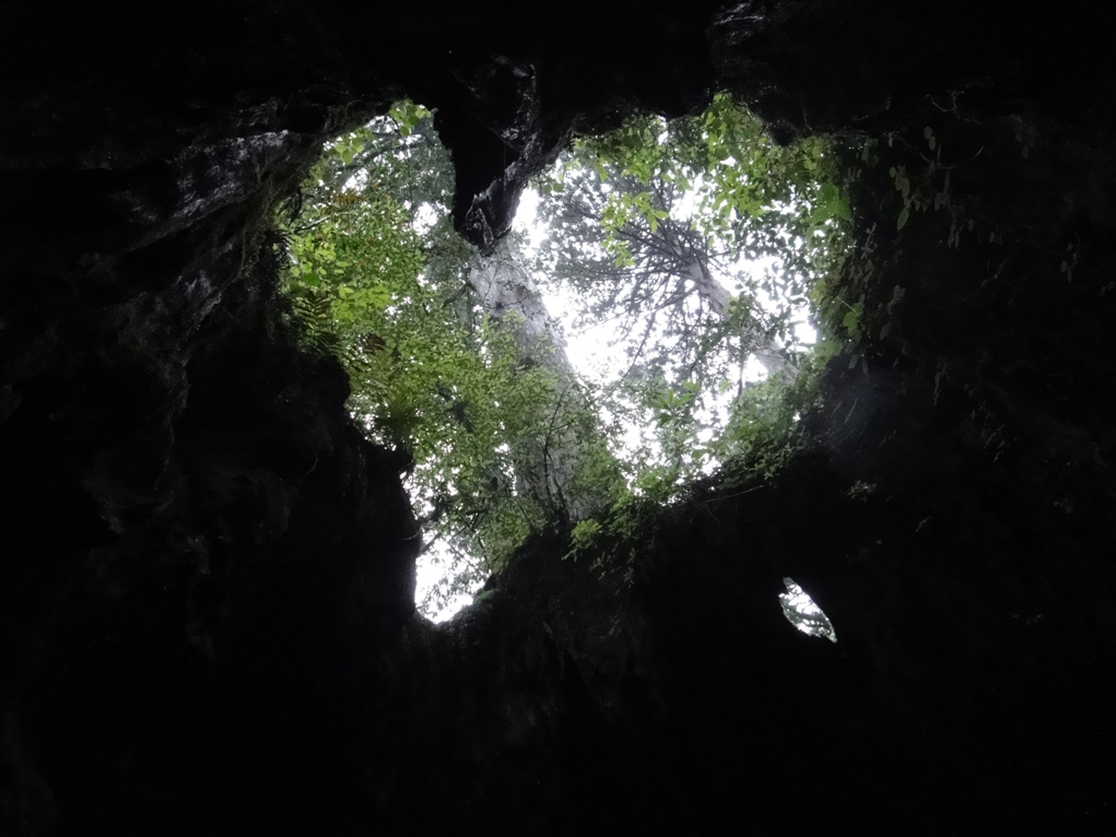 屋久島で恋愛成就 を期待しちゃう Mmmさんの旅行ブログ トラベルコ