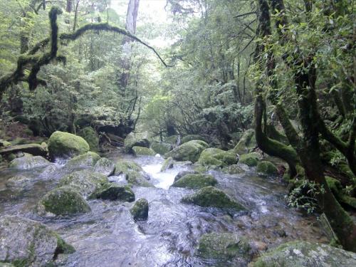 白谷雲水峡