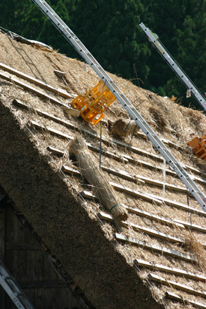 葺き替え作業１