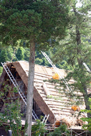 葺き替え作業４