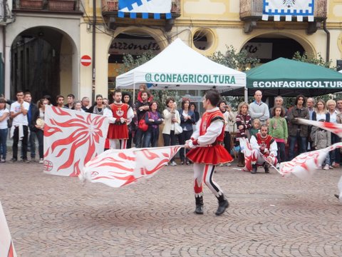 アルバパレオ１