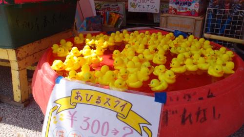 アヒルすくい