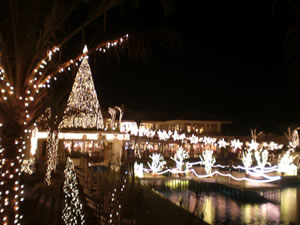 スターダストファンタジア（2011）1