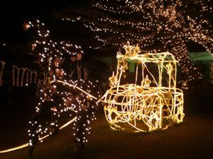 スターダストファンタジア(2011)4