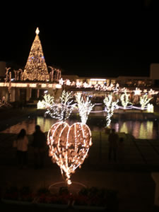 スターダストファンタジア（2011）5