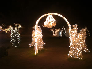 スターダストファンタジア(2011)10