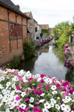花咲くシャブリと白ワイン