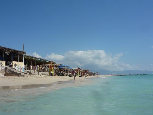 ヘルシャー全体