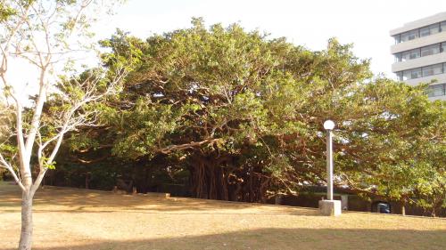 広場からの全景