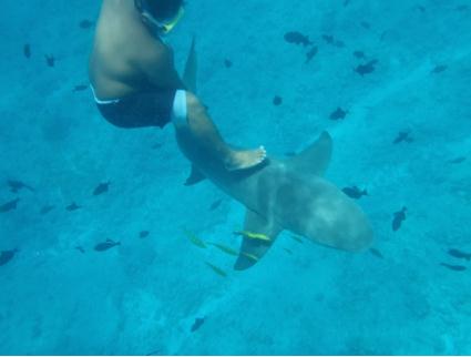 ボラボラ島 モツ ピクニック ツアー