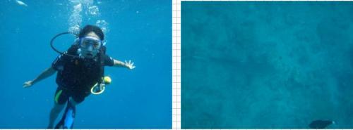 ボラボラ・パール・ビーチ・リゾート＆スパ