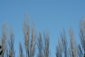 Ｐ４２-０１４Ｆ