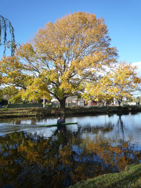 Ｐ６６-０１８Ｆ