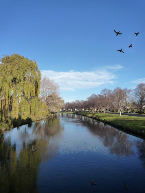 Ｐ６６-０２４Ｆ