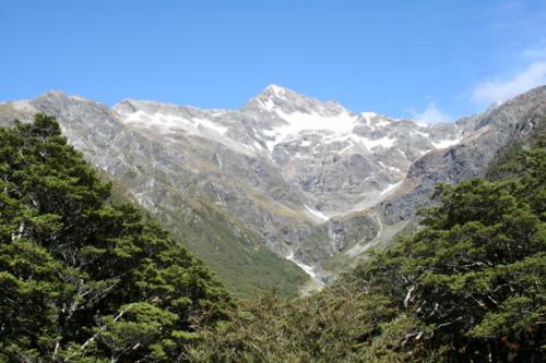 Ｐ４８-０３８Ｆ