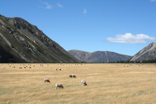 Ｐ６０-０２２Ｆ