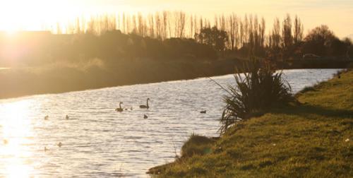 Ｐ３１-０５０Ｆ