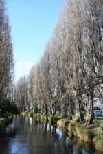 Ｐ６７−０１５Ｆ