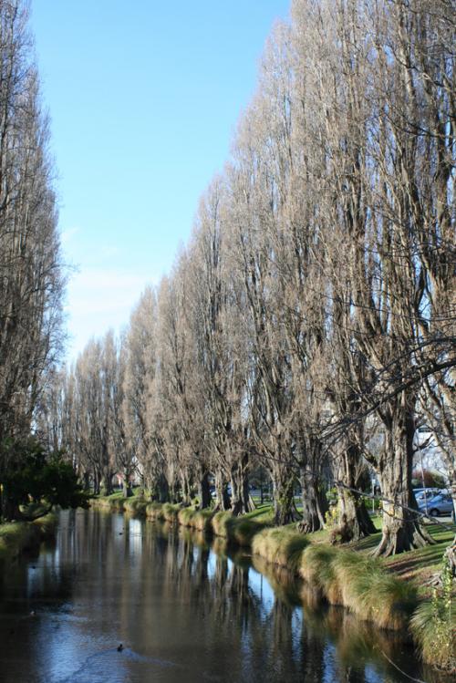 Ｐ６７-０１５Ｆ