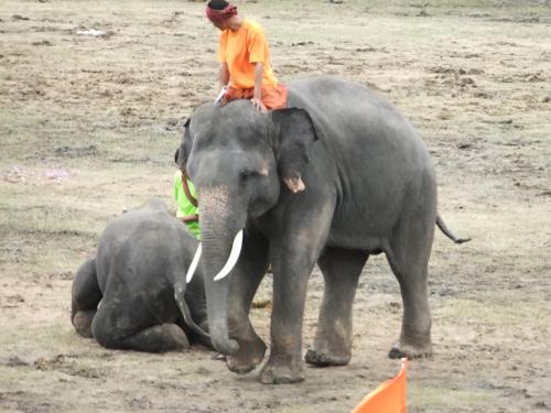 相手選手を負傷させレッドカード