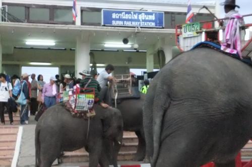 スリン鉄道駅前で象タクシーが営業