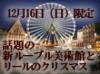 話題の新ルーブル美術館を政府公認ガイドと共にいち早く見学！アートな都市で有名なリールのリール美術館をガイドと共に見学した後、ライトアップされ華やかに彩られたクリスマスの雰囲気を楽しんでいただきます。