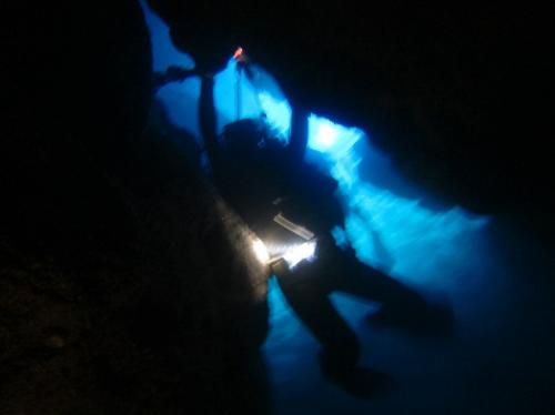 伊勢海老撮ってます