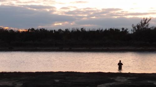 イカ釣りかな〜