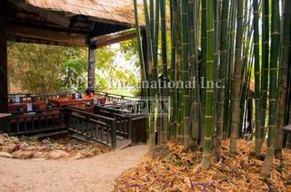 ディエン・サバイ・レストラン