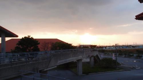 のどかな朝の陽