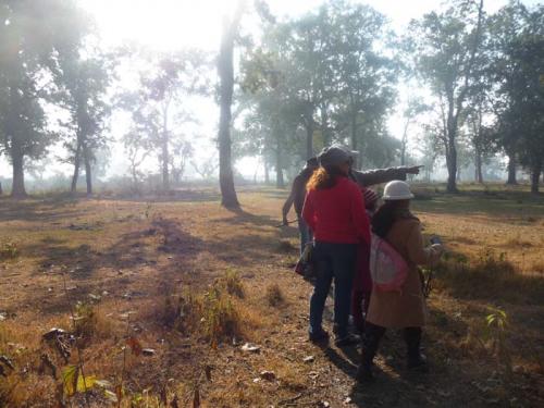 ジャングルウオーク２