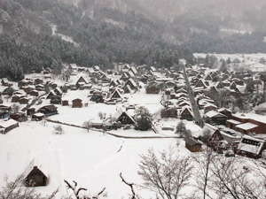 ちょっと白く復活 雪