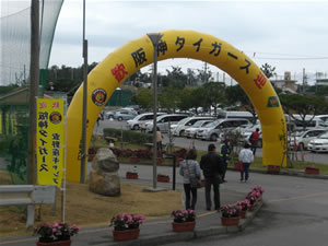 阪神タイガース2012キャンプ2
