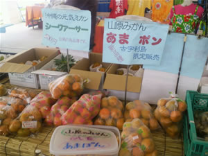 古宇利島あまぽん3