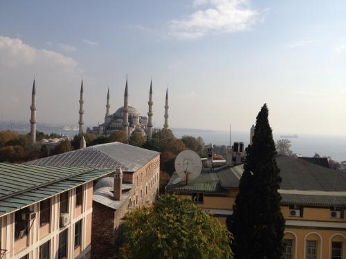 ブルーモスクが見えるよ