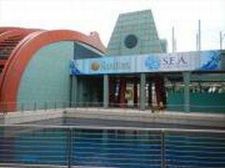 マリンライフパーク1