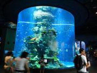 マリンライフパーク3