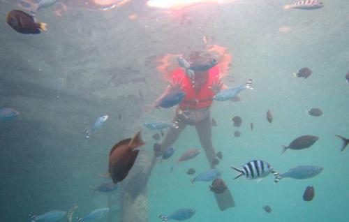 シュノーケリング