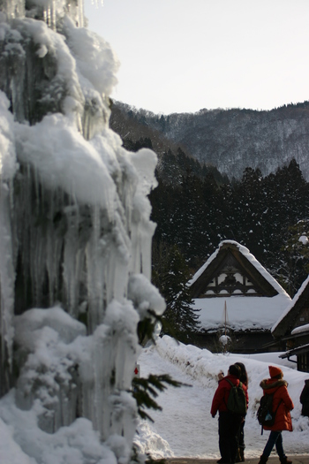 水の掛けて木が凍る