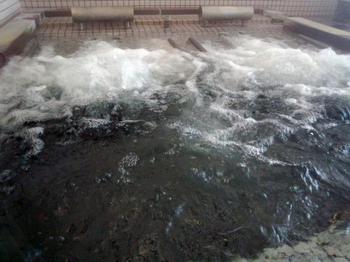 しらみずの湯 各温泉 (2)