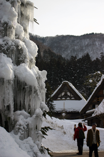 木が凍って氷柱