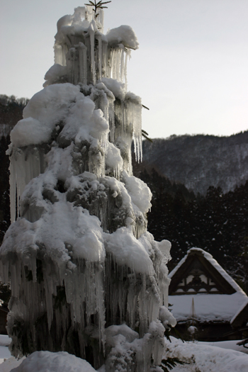 奥には明善寺 本堂 写真ポイント