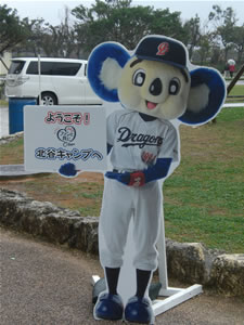 2013プロ野球キャンプバス7