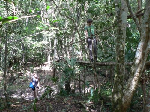 にわか作りの橋