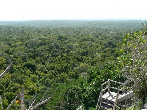 頂上からの眺め 1,