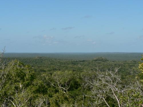 頂上からの眺め 2,