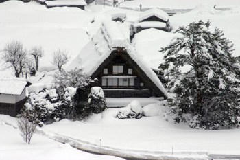 真っ白く茅葺き屋根に雪